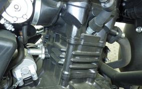 SUZUKI Vｽﾄﾛｰﾑ250 2012