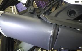 YAMAHA MT-25 A 2009 RG43J