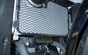 SUZUKI GSX250RA