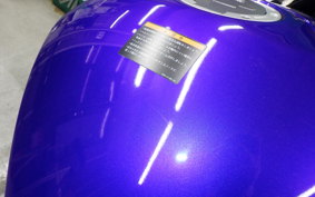 YAMAHA YZF-R25 RG43J