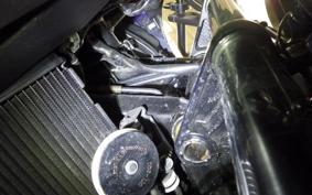 HONDA NM4 VULTUS -01 2019 RC82