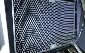 TRIUMPH TIGER 800 2019