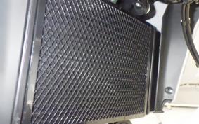 BENELLI BENELLI TRK251