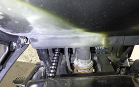 KAWASAKI NINJA 250R EX250K