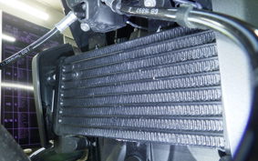 BMW R12 2024