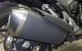 SUZUKI Vｽﾄﾛｰﾑ250 2025