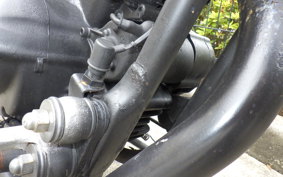 YAMAHA VIRAGO 250 2014 3DM