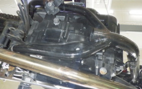 KAWASAKI 250TR 2019 BJ250F