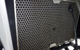 TRIUMPH TIGER 800 XC XA 2020