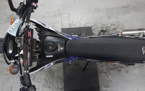 YAMAHA WR250X DG15J