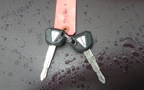 KAWASAKI W800 CAFE 2019 EJ800B