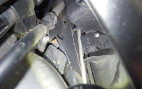 HONDA LEAD 110 2024 JF19