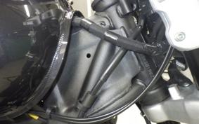OTHER +ENFIELD SUPER ﾒﾃｵ650 2025