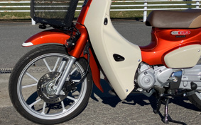HONDA SUPER CUB110 JA59
