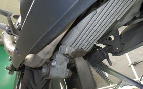 KAWASAKI NINJA 250 EX250L