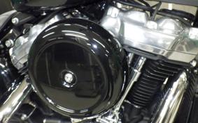 HARLEY FXST1750 2024