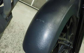 SUZUKI V-STROM 250