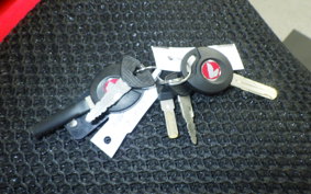 HONDA CT125 HUNTER CUB 2019 JA55