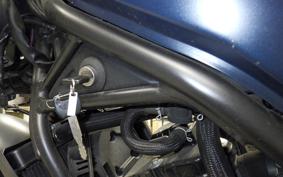 HONDA REBEL 250 S 2009 MC49