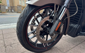 INDIAN CHALLENGER DARK HOSE 2022 L