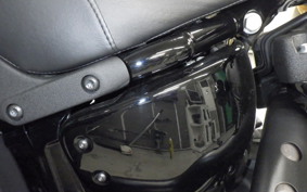 HARLEY FXLRS1920 2024