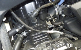 SUZUKI Vｽﾄﾛｰﾑ250 2024