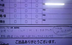 OTHER +UNREGISTERED MODEL by BDS1330 2021