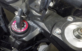 KAWASAKI ZZ1400 NINJA R 2008 ZXT40C