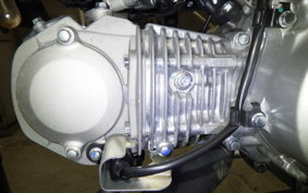 HONDA CROSS CUB 110 2007 JA60