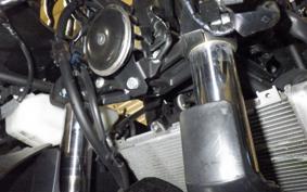 KAWASAKI NINJA 400 2021 EX400G