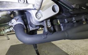 HONDA HORNET 250 2001 MC31