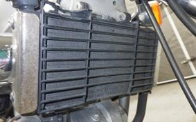 HONDA MAGNA 250 2025 MC29