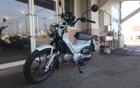 HONDA CROSS CUB JA60