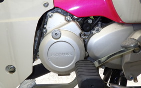 HONDA C110 SUPER CUB