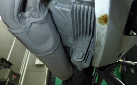 KAWASAKI ZX-4R SE 2024 ZX400P
