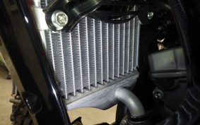 HONDA CRF250 RALLY 2002 MD44