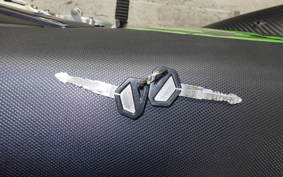 KAWASAKI KLX250D TRACKER X 2024 LX250V