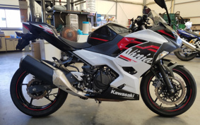 KAWASAKI NINJA 400 2019 EX400G