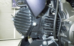 KAWASAKI Z125 PRO BR125H