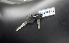 YAMAHA YZF-R25 2017 RG43J