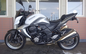 KAWASAKI Z1000 2011 ZRT00B