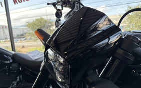 HARLEY FXDR114 2019 YVK