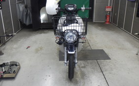 HONDA C110 SUPER CUB 2021 JA10