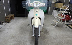 HONDA C110 SUPER CUB 2021 JA10