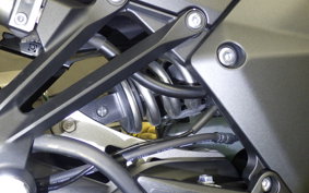 KAWASAKI NINJA 1000SX 2020 ZXT02K