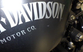 HARLEY XL883N 2015