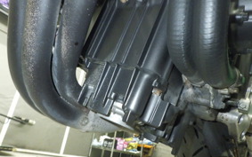 HONDA HORNET 250 MC31