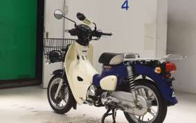 HONDA C110 SUPER CUB 2019 JA61