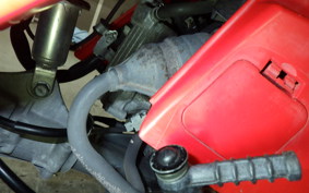 HONDA GYRO CANOPY 2025 TA03