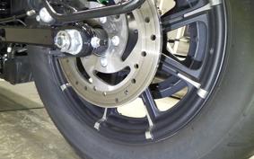 HARLEY XL883N 2021